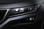 Skoda Kodiaq 2016 года (WW)